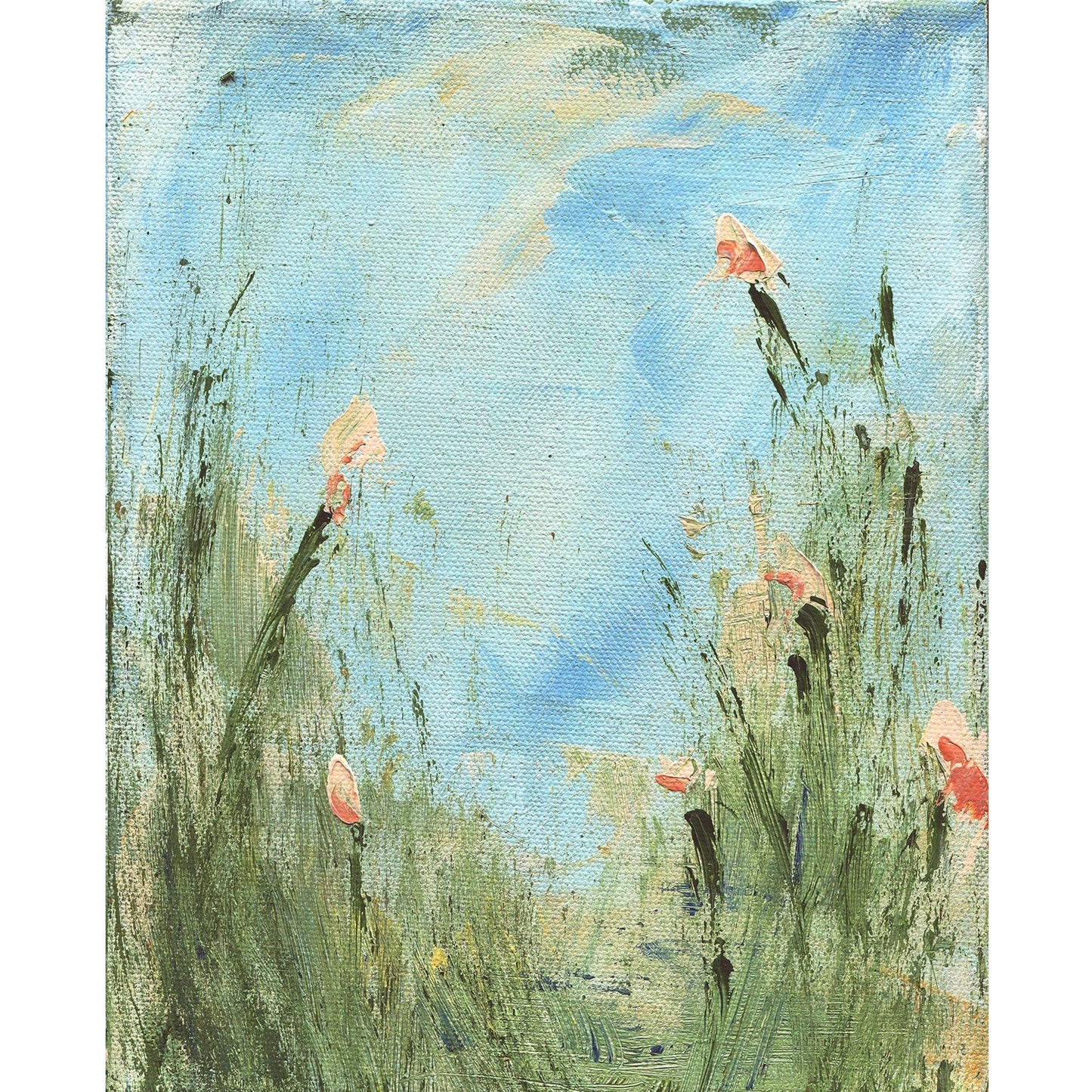 New Blooms Collection
