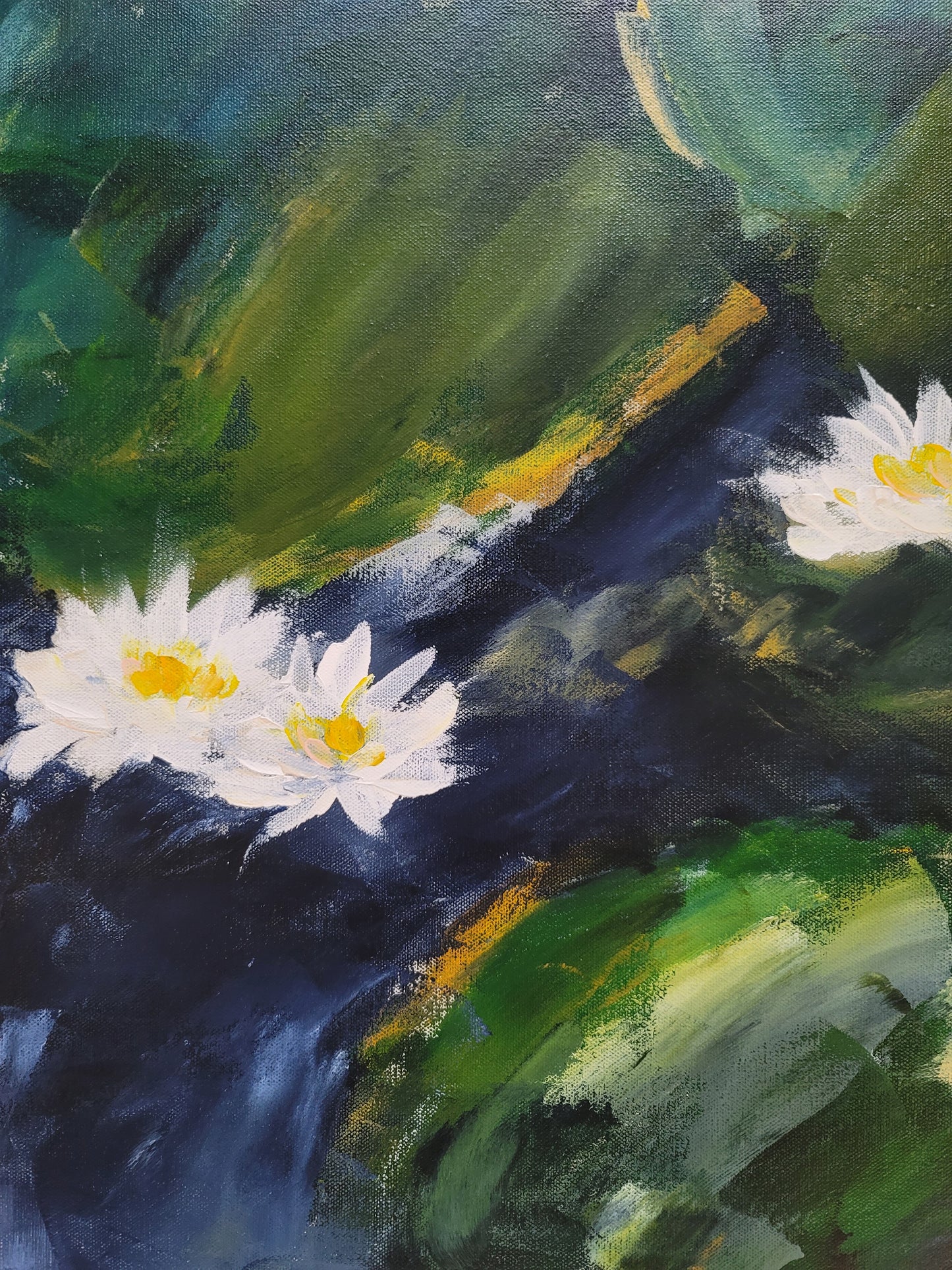Water Lilies